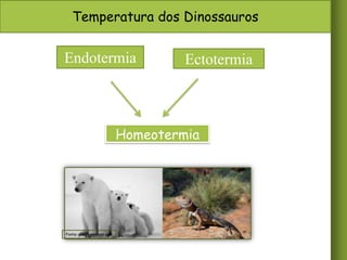 Temperatura dos Dinossauros

Endotermia

Ectotermia

Homeotermia

Fonte: googleimagens.com

 