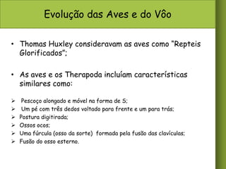 Evolução das Aves e do Vôo
• Thomas Huxley consideravam as aves como “Repteis
Glorificados”;
• As aves e os Therapoda incluíam características
similares como:







Pescoço alongado e móvel na forma de S;
Um pé com três dedos voltado para frente e um para trás;
Postura digitirada;
Ossos ocos;
Uma fúrcula (osso da sorte) formada pela fusão das clavículas;
Fusão do osso esterno.

 