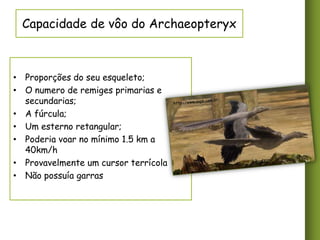Capacidade de vôo do Archaeopteryx

• Proporções do seu esqueleto;
• O numero de remiges primarias e
secundarias;
• A fúrcula;
• Um esterno retangular;
• Poderia voar no mínimo 1.5 km a
40km/h
• Provavelmente um cursor terrícola
• Não possuía garras

 