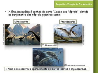 Geografia e Ecologia da Era Mesozóica

• A Era Mesozóica é conhecida como “Idade dos Répteis” devido
ao surgimento dos répteis gigantes como:
Pterossauros

Ictiossauros

Fig 3. http://www.mundodosanimais.pt

fig. 2. http://blog.cancaonova.com

Dinossauros

fig 4
http://www.avph.com.br/ictiossauro.htm

Além disso ocorreu o aparecimento de muitos insetos e angiospermas.

 