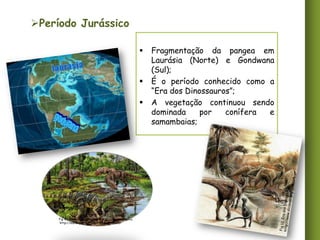 Período Jurássico





Fig 13. Era dos Dinossauros e vegetação bem típica.
http://mundopre-historico.blogspot.com.br

Fragmentação da pangea em
Laurásia (Norte) e Gondwana
(Sul);
É o período conhecido como a
“Era dos Dinossauros”;
A vegetação continuou sendo
dominada
por
conífera
e
samambaias;

 