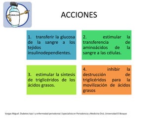 ACCIONES
1. transferir la glucosa
de la sangre a los
tejidos
insulinodependientes.
2. estimular la
transferencia de
aminoácidos de la
sangre a las células.
3. estimular la síntesis
de triglicéridos de los
ácidos grasos.
4. inhibir la
destrucción de
triglicéridos para la
movilización de ácidos
grasos
Vargas Miguel. Diabetes tipo I y enfermedad periodontal. Especialista en Periodoncia y Medicina Oral, Universidad El Bosque
 