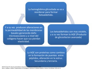 La hemoglobina glicosilada se va a
reordenar para formar
Ketoaldehido.
Los ketoaldehidos son mas estable,
y a su vez forman la AGE (Producto
de glicosilacion avanzada)
La AGE son proteínas como cambios
en la formación de puentes entre
péptidos, alteración en la estruc.
Secundaria y terciaria.
Y a su vez producen alteraciones en
la permeabilidad de las membranas
basales generando daño
microvasculares y a nivel del
colágeno hacen que sus pierdan
elasticidad.
Wolf SP, Dean RT. Glucose autooxidation and protein modification. Biochem J. 1987
Bunn F, Gabbay P, Gallop. The glicosilation of hemoglobin. Relevance to diabetes Mellitus. Science, Vol 200 April 1978. p21-27
 