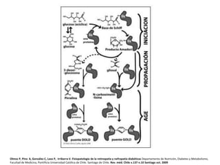 Olmos P, Pino A, González C, Laso P, Irribarra V. Fisiopatología de la retinopatía y nefropatía diabéticas Departamento de Nutrición, Diabetes y Metabolismo,
Facultad de Medicina, Pontificia Universidad Católica de Chile. Santiago de Chile. Rev. méd. Chile v.137 n.10 Santiago oct. 2009
 