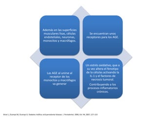 Además en las superficies
musculares lisas, células
endoteliales, neuronas,
monocitos y macrófagos.
Se encuentran unos
receptores para los AGE.
Las AGE al unirse al
receptor de los
monocitos y macrófagos
va generar
Un estrés oxidativo, que a
su vez altera el fenotipo
de la células activando la
IL-1 y el factores de
necrosis tumoral.
Contribuyendo a los
procesos inflamatorios
crónicos.
Brian L, Ocampo M, Ocampo G. Diabetes mellitus and periodontal disease. J. Periodontol. 2000, Vol. 44, 2007, 127–153
 