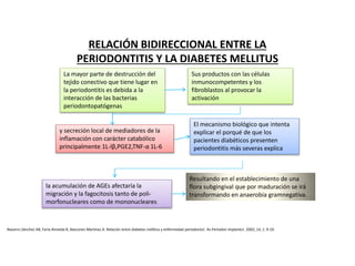 RELACIÓN BIDIRECCIONAL ENTRE LA
PERIODONTITIS Y LA DIABETES MELLITUS
La mayor parte de destrucción del
tejido conectivo que tiene lugar en
la periodontitis es debida a la
interacción de las bacterias
periodontopatógenas
Sus productos con las células
inmunocompetentes y los
fibroblastos al provocar la
activación
y secreción local de mediadores de la
inflamación con carácter catabólico
principalmente 1L-lβ,PGE2,TNF-α 1L-6
El mecanismo biológico que intenta
explicar el porqué de que los
pacientes diabéticos presenten
periodontitis más severas explica
la acumulación de AGEs afectaría la
migración y la fagocitosis tanto de poli-
morfonucleares como de mononucleares
Resultando en el establecimiento de una
flora subgingival que por maduración se irá
transformando en anaerobia gramnegativa.
Navarro Sánchez AB, Faria Almeida R, Bascones Martínez A. Relación entre diabetes mellitus y enfermedad periodonta!. Av Periodon Implanto!. 2002; 14, 1: 9-19.
 