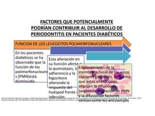FACTORES QUE POTENCIALMENTE
PODRÍAN CONTRIBUIR AL DESARROLLO DE
PERIODONTITIS EN PACIENTES DIABÉTICOS
FUNCION DE LOS LEUCOCITOS POLIMORFONUCLEARES
En los pacientes
diabéticos se ha
observado que la
función de los
polimorfonucleare
s (PMN)está
disminuida
Esta alteración en
su función afecta a
la quimiotaxis, la
adherencia y la
fagocitosis
alterando la
respuesta del
huésped frente a la
infección
Engrosamiento de la
membrana basal de los vasos
capilares gingivales. Se piensa
que estas alteraciones
impiden la difusiónde
oxigeno,la migración de PMN
y la difusiónde factores
séricos como los anticuerposNavarro Sánchez AB, Faria Almeida R, Bascones Martínez A. Relación entre diabetes mellitus y enfermedad periodonta!. Av Periodon Implanto!. 2002; 14, 1: 9-19.
Miranda-Galvis M, Montoya-Zuluaga Y, Saldarriaga-Saldarriaga A. Diabetes y enfermedad periodontal: hacia un modelo clínico bidireccional. Revista Nacional de Odontología. 2012; 8(14): 76-87.
 