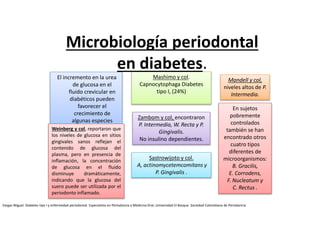 El incremento en la urea
de glucosa en el
fluido crevicular en
diabéticos pueden
favorecer el
crecimiento de
algunas especies
microbianas.Weinberg y col, reportaron que
los niveles de glucosa en sitios
gingivales sanos reflejan el
contenido de glucosa del
plasma, pero en presencia de
inflamación, la concentración
de glucosa en el fluido
disminuye dramáticamente,
indicando que la glucosa del
suero puede ser utilizada por el
periodonto inflamado.
Mashimo y col.
Capnocytophaga Diabetes
tipo I, (24%)
Zambom y col, encontraron
P. Intermedia, W. Recta y P.
Gingivalis.
No insulino dependientes.
Sastrowijoto y col.
A, actinomycetemcomitans y
P. Gingivalis .
Mandell y col,
niveles altos de P.
Intermedia.
En sujetos
pobremente
controlados
también se han
encontrado otros
cuatro tipos
diferentes de
microorganismos:
B. Gracilis,
E. Corrodens,
F. Nucleatum y
C. Rectus .
Microbiología periodontal
en diabetes.
Vargas Miguel. Diabetes tipo I y enfermedad periodontal. Especialista en Periodoncia y Medicina Oral, Universidad El Bosque. Sociedad Colombiana de Periodoncia
 