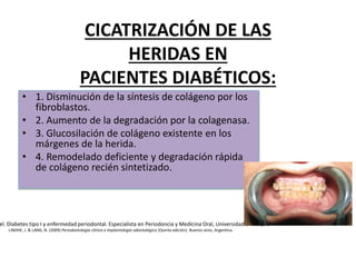 CICATRIZACIÓN DE LAS
HERIDAS EN
PACIENTES DIABÉTICOS:
• 1. Disminución de la síntesis de colágeno por los
fibroblastos.
• 2. Aumento de la degradación por la colagenasa.
• 3. Glucosilación de colágeno existente en los
márgenes de la herida.
• 4. Remodelado deficiente y degradación rápida
de colágeno recién sintetizado.
el. Diabetes tipo I y enfermedad periodontal. Especialista en Periodoncia y Medicina Oral, Universidad El Bosque
LINDHE, J. & LANG, N. (2009) Periodontologia clínica e implantologia odontológica (Quinta edición). Buenos aires, Argentina.
 