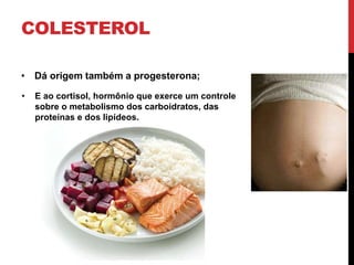 COLESTEROL
• Dá origem também a progesterona;
• E ao cortisol, hormônio que exerce um controle
sobre o metabolismo dos carboidratos, das
proteínas e dos lipídeos.
 