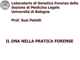 Laboratorio di Genetica Forense della Sezione di Medicina Legale  Università di Bologna Prof. Susi Pelotti logo IL DNA NELLA PRATICA FORENSE 