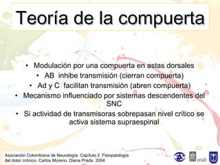 Seminario Dolor en el adulto mayor | PPT