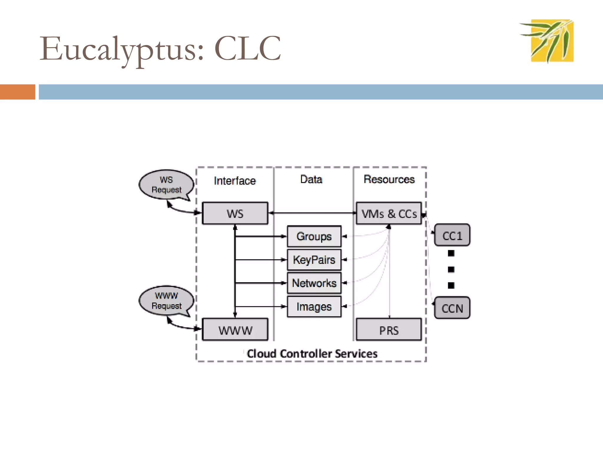 Eucalyptus: CLC
 