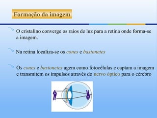 Formação da imagem

O cristalino converge os raios de luz para a retina onde forma-se
a imagem.

Na retina localiza-se os cones e bastonetes


Os cones e bastonetes agem como fotocélulas e captam a imagem
e transmitem os impulsos através do nervo óptico para o cérebro
 