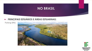 ► PRINCIPAIS ESTUÁRIOS E ÁREAS ESTUARINAS:
Potengi (RN):
NO BRASIL
 
