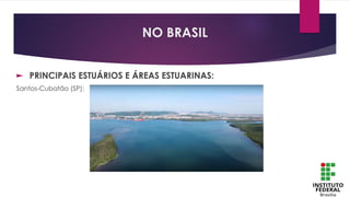 ► PRINCIPAIS ESTUÁRIOS E ÁREAS ESTUARINAS:
Santos-Cubatão (SP):
NO BRASIL
 