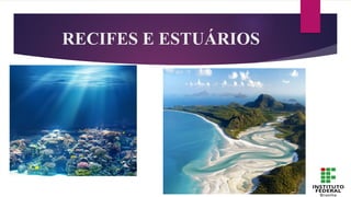 RECIFES E ESTUÁRIOS
 