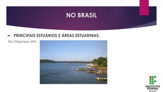 ► PRINCIPAIS ESTUÁRIOS E ÁREAS ESTUARINAS:
Rio Oiapoque (AP):
NO BRASIL
 