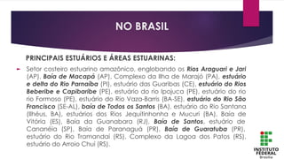 PRINCIPAIS ESTUÁRIOS E ÁREAS ESTUARINAS:
► Setor costeiro estuarino amazônico, englobando os Rios Araguari e Jari
(AP), Baía de Macapá (AP), Complexo da Ilha de Marajó (PA), estuário
e delta do Rio Parnaíba (PI), estuário das Guaribas (CE), estuário do Rios
Beberibe e Capibaribe (PE), estuário do rio Ipojuca (PE), estuário do rio
rio Formoso (PE), estuário do Rio Vaza-Barris (BA-SE), estuário do Rio São
Francisco (SE-AL), baía de Todos os Santos (BA), estuário do Rio Santana
(Ilhéus, BA), estuários dos Rios Jequitinhonha e Mucuri (BA), Baía de
Vitória (ES), Baía da Guanabara (RJ), Baía de Santos, estuário de
Cananéia (SP), Baía de Paranaguá (PR), Baía de Guaratuba (PR),
estuário do Rio Tramandaí (RS), Complexo da Lagoa dos Patos (RS),
estuário do Arroio Chuí (RS).
NO BRASIL
 