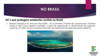 NO BRASIL
UC’s que protegem ambientes recifais no Brasil:
► Reserva Biológica do Atol das Rocas/RN - foi a primeira unidade de conservação marinha
criada e tem como objetivo proteger a área de reprodução e alimentação de espécies
marinhas. Em 2001 foi reconhecida como Sítio do Patrimônio Mundial Natural da UNESCO.
 