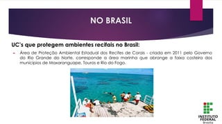 UC’s que protegem ambientes recifais no Brasil:
► Área de Proteção Ambiental Estadual dos Recifes de Corais - criada em 2011 pelo Governo
do Rio Grande do Norte, corresponde a área marinha que abrange a faixa costeira dos
municípios de Maxaranguape, Touros e Rio do Fogo.
NO BRASIL
 