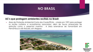 UC’s que protegem ambientes recifais no Brasil:
► Área de Proteção Ambiental Costa dos Corais/PE/AL - criada em 1997 para proteger
os recifes costeiros e ecossistemas associados, além de fauna ameaçada de
extinção como o peixe-boi marinho . A área estende-se de Tamandaré em
Pernambuco até Maceió, em Alagoas.
NO BRASIL
 