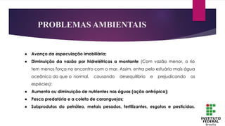 PROBLEMAS AMBIENTAIS
● Avanço da especulação imobiliária;
● Diminuição da vazão por hidrelétricas a montante (Com vazão menor, o rio
tem menos força no encontro com o mar. Assim, entra pelo estuário mais água
oceânica do que o normal, causando desequilíbrio e prejudicando as
espécies);
● Aumento ou diminuição de nutrientes nas águas (ação antrópica);
● Pesca predatória e a coleta de caranguejos;
● Subprodutos do petróleo, metais pesados, fertilizantes, esgotos e pesticidas.
 