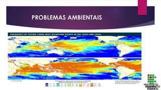 PROBLEMAS AMBIENTAIS
 