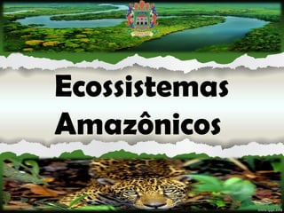 Ecossistemas
Amazônicos
 