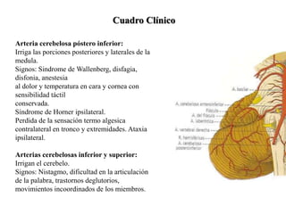 Arteria cerebelosa póstero inferior:
Irriga las porciones posteriores y laterales de la
medula.
Signos: Sindrome de Wallenberg, disfagia,
disfonia, anestesia
al dolor y temperatura en cara y cornea con
sensibilidad táctil
conservada.
Síndrome de Horner ipsilateral.
Perdida de la sensación termo algesica
contralateral en tronco y extremidades. Ataxia
ipsilateral.
Arterias cerebelosas inferior y superior:
Irrigan el cerebelo.
Signos: Nistagmo, dificultad en la articulación
de la palabra, trastornos deglutorios,
movimientos incoordinados de los miembros.
Cuadro Clínico
 