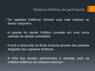 Os capilares linfáticos, formam uma rede extensa no
tecido conjuntivo.
A parede do capílar linfático consiste em uma única
camada de células endoteliais.
A linfa é absorvida do fluido tecidual através das paredes
delgadas dos capilares linfáticos.
A linfa dos tecidos periodontais é drenada para os
nódulos linfáticos da cabeça e bescoço.
 