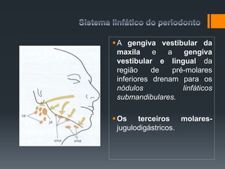 A gengiva vestibular da
maxila e a gengiva
vestibular e lingual da
região de pré-molares
inferiores drenam para os
nódulos linfáticos
submandibulares.
Os terceiros molares-
jugulodigástricos.
 