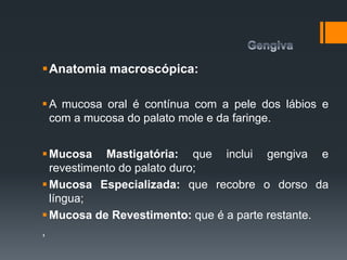 Anatomia macroscópica:
A mucosa oral é contínua com a pele dos lábios e
com a mucosa do palato mole e da faringe.
Mucosa Mastigatória: que inclui gengiva e
revestimento do palato duro;
Mucosa Especializada: que recobre o dorso da
língua;
Mucosa de Revestimento: que é a parte restante.
,
 