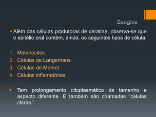 Além das células produtoras de ceratina, observa-se que
o epitélio oral contém, ainda, os seguintes tipos de célula:
1. Melanócitos
2. Células de Langerhans
3. Células de Merkel
4. Células inflamatórias
 Tem prolongamento citoplasmático de tamanho e
aspecto diferente. E também são chamadas “células
claras.”
 