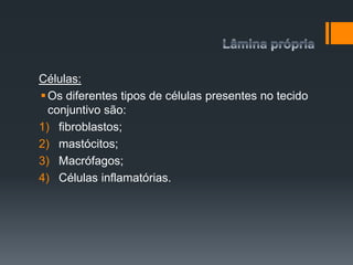 Células:
Os diferentes tipos de células presentes no tecido
conjuntivo são:
1) fibroblastos;
2) mastócitos;
3) Macrófagos;
4) Células inflamatórias.
 