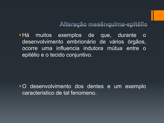 Há muitos exemplos de que, durante o
desenvolvimento embrionário de vários órgãos,
ocorre uma influencia indutora mútua entre o
epitélio e o tecido conjuntivo.
O desenvolvimento dos dentes e um exemplo
caracteristico de tal fenomeno.
 