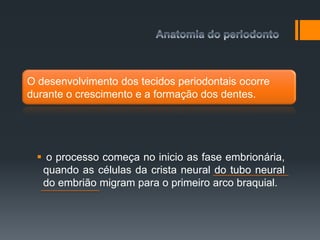  o processo começa no inicio as fase embrionária,
quando as células da crista neural do tubo neural
do embrião migram para o primeiro arco braquial.
O desenvolvimento dos tecidos periodontais ocorre
durante o crescimento e a formação dos dentes.
 