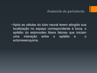 Após as células do tubo neural terem atingido sua
localização no espaço correspondente à boca, o
epitélio do estomodeo libera fatores que iniciam
uma interação entre o epitélio e o
ectomesenquima.
 