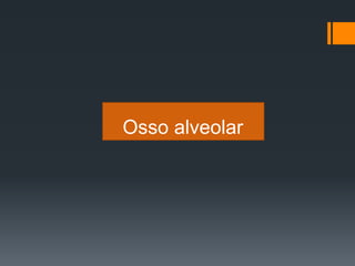 Osso alveolar
 
