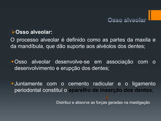Osso alveolar:
O processo alveolar é definido como as partes da maxila e
da mandíbula, que dão suporte aos alvéolos dos dentes;
Osso alveolar desenvolve-se em associação com o
desenvolvimento e erupção dos dentes;
Juntamente com o cemento radicular e o ligamento
periodontal constituí o aparelho de inserção dos dentes;
Distribui e absorve as forças geradas na mastigação
 