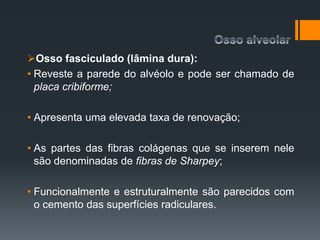 Osso fasciculado (lâmina dura):
• Reveste a parede do alvéolo e pode ser chamado de
placa cribiforme;
• Apresenta uma elevada taxa de renovação;
• As partes das fibras colágenas que se inserem nele
são denominadas de fibras de Sharpey;
• Funcionalmente e estruturalmente são parecidos com
o cemento das superfícies radiculares.
 