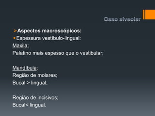 Aspectos macroscópicos:
Espessura vestíbulo-lingual:
Maxila:
Palatino mais espesso que o vestibular;
Mandíbula:
Região de molares;
Bucal > lingual;
Região de incisivos;
Bucal< lingual.
 