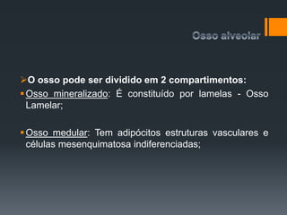 O osso pode ser dividido em 2 compartimentos:
Osso mineralizado: É constituído por lamelas - Osso
Lamelar;
Osso medular: Tem adipócitos estruturas vasculares e
células mesenquimatosa indiferenciadas;
 