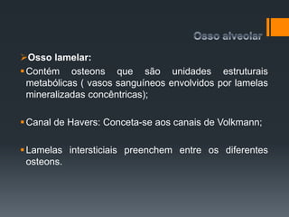 Osso lamelar:
Contém osteons que são unidades estruturais
metabólicas ( vasos sanguíneos envolvidos por lamelas
mineralizadas concêntricas);
Canal de Havers: Conceta-se aos canais de Volkmann;
Lamelas intersticiais preenchem entre os diferentes
osteons.
 