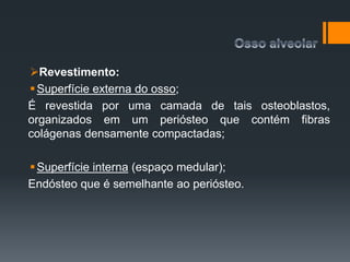 Revestimento:
Superfície externa do osso;
É revestida por uma camada de tais osteoblastos,
organizados em um periósteo que contém fibras
colágenas densamente compactadas;
Superfície interna (espaço medular);
Endósteo que é semelhante ao periósteo.
 