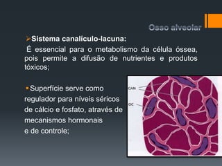 Sistema canalículo-lacuna:
É essencial para o metabolismo da célula óssea,
pois permite a difusão de nutrientes e produtos
tóxicos;
Superfície serve como
regulador para níveis séricos
de cálcio e fosfato, através de
mecanismos hormonais
e de controle;
 