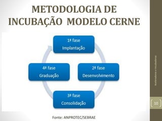 METODOLOGIA DE
INCUBAÇÃO MODELO CERNE
AceleradoraseIncubadoras
10
Fonte: ANPROTEC/SEBRAE
 