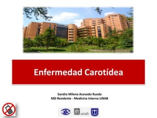Enfermedad Carotídea
Sandra Milena Acevedo Rueda
MD Residente - Medicina Interna UNAB

 