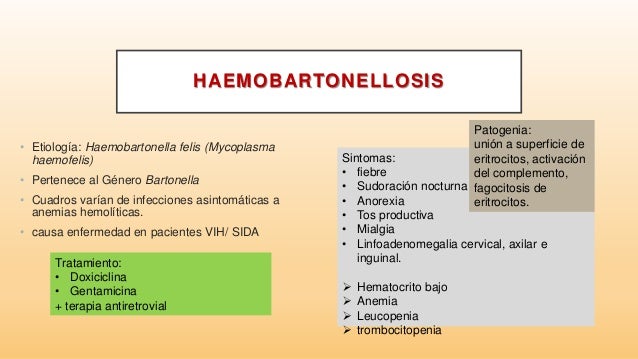 Enfermedades transmitidas a humanos por mordeduras de ...