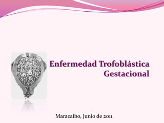 Enfermedad Trofoblástica
            Gestacional




 Maracaibo, Junio de 2011
 
